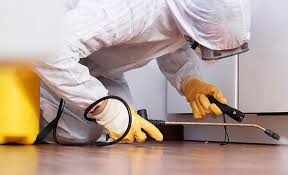 Best Pest Exclusion Services  in Black Rock, NM